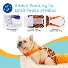 Avont Frenchie dog diaper leopard pattern provides full coverage for tailless breeds.