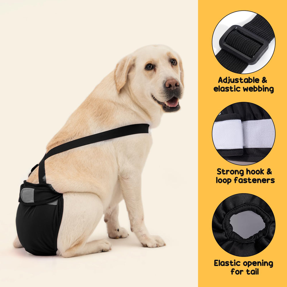 Avont Washable Dog Diaper heat-use scenario with absorbent padding
