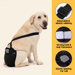 Avont Washable Dog Diaper heat-use scenario with absorbent padding