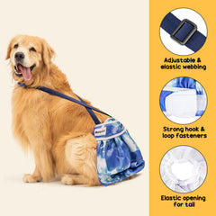 Avont in-heat design diaper supports female dogs during heat cycles.