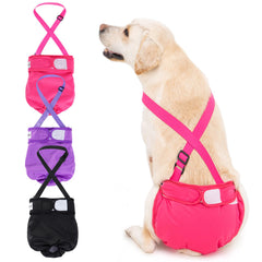 Avont washable dog diaper with suspender shows secure fit for movement.