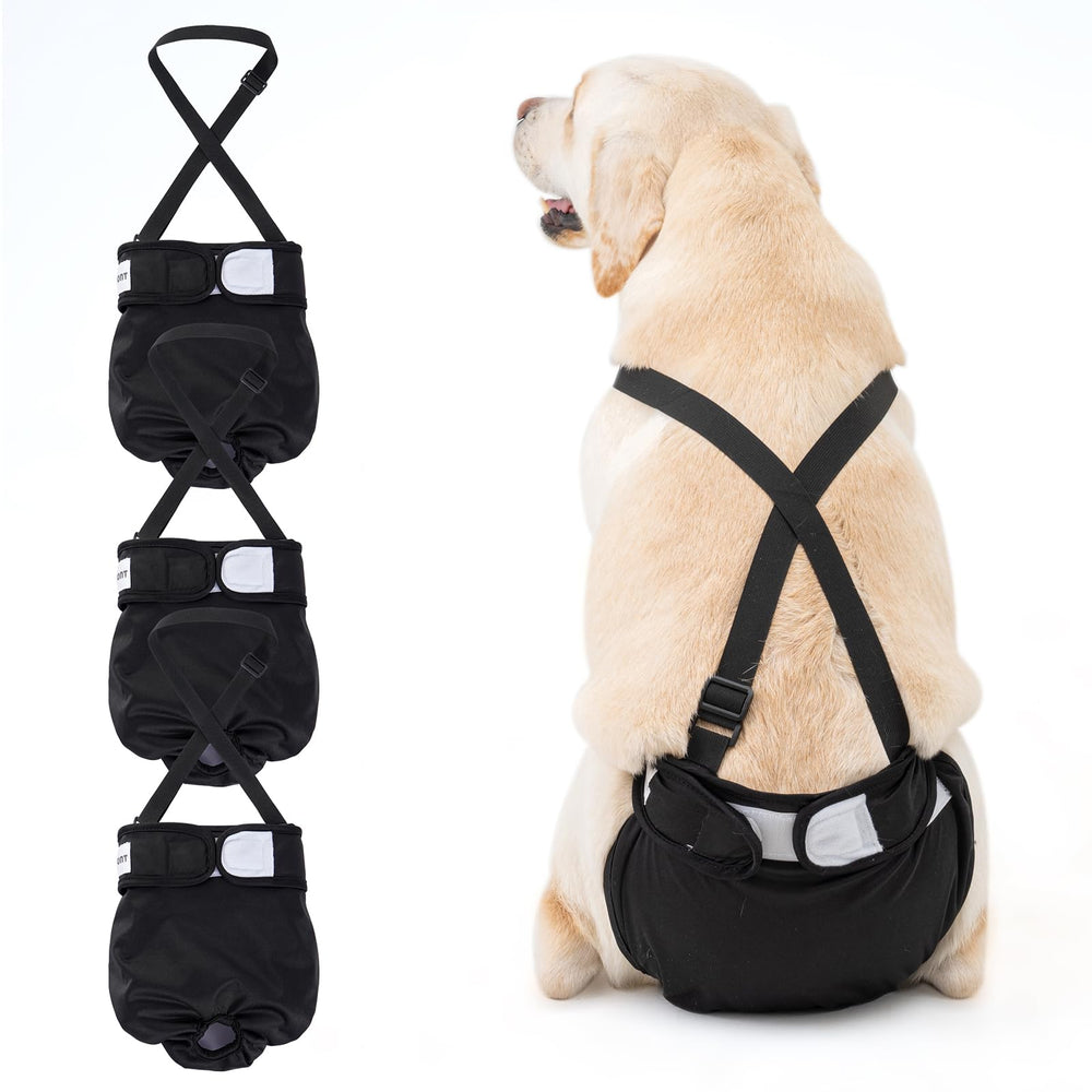 Avont Washable Dog Diaper suspenders closure for secure fit during walks
