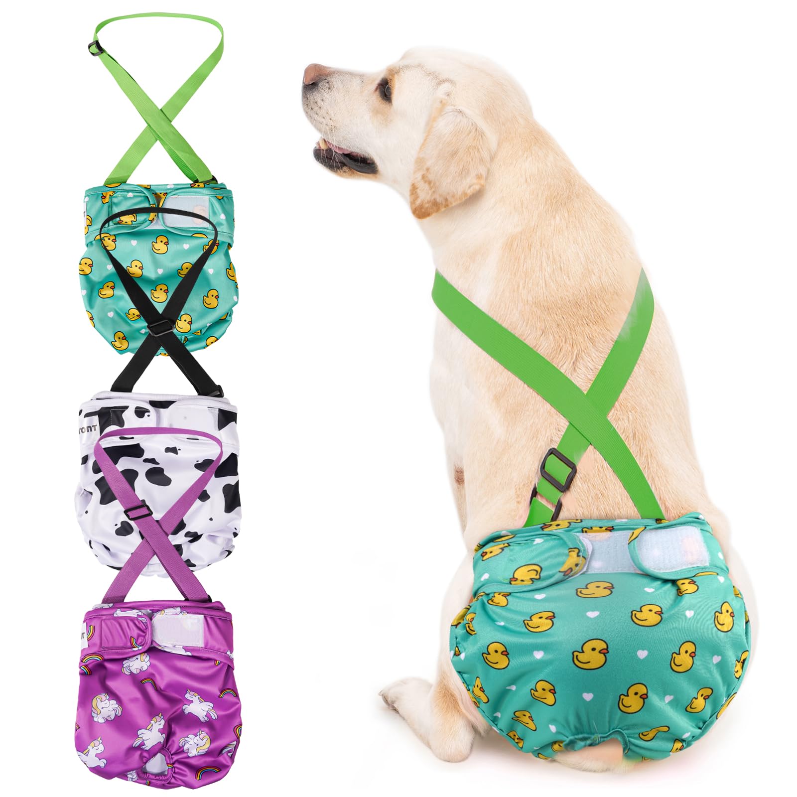 Avont washable female dog diaper pack closeup demonstrating secure fit and multi-size suitability.