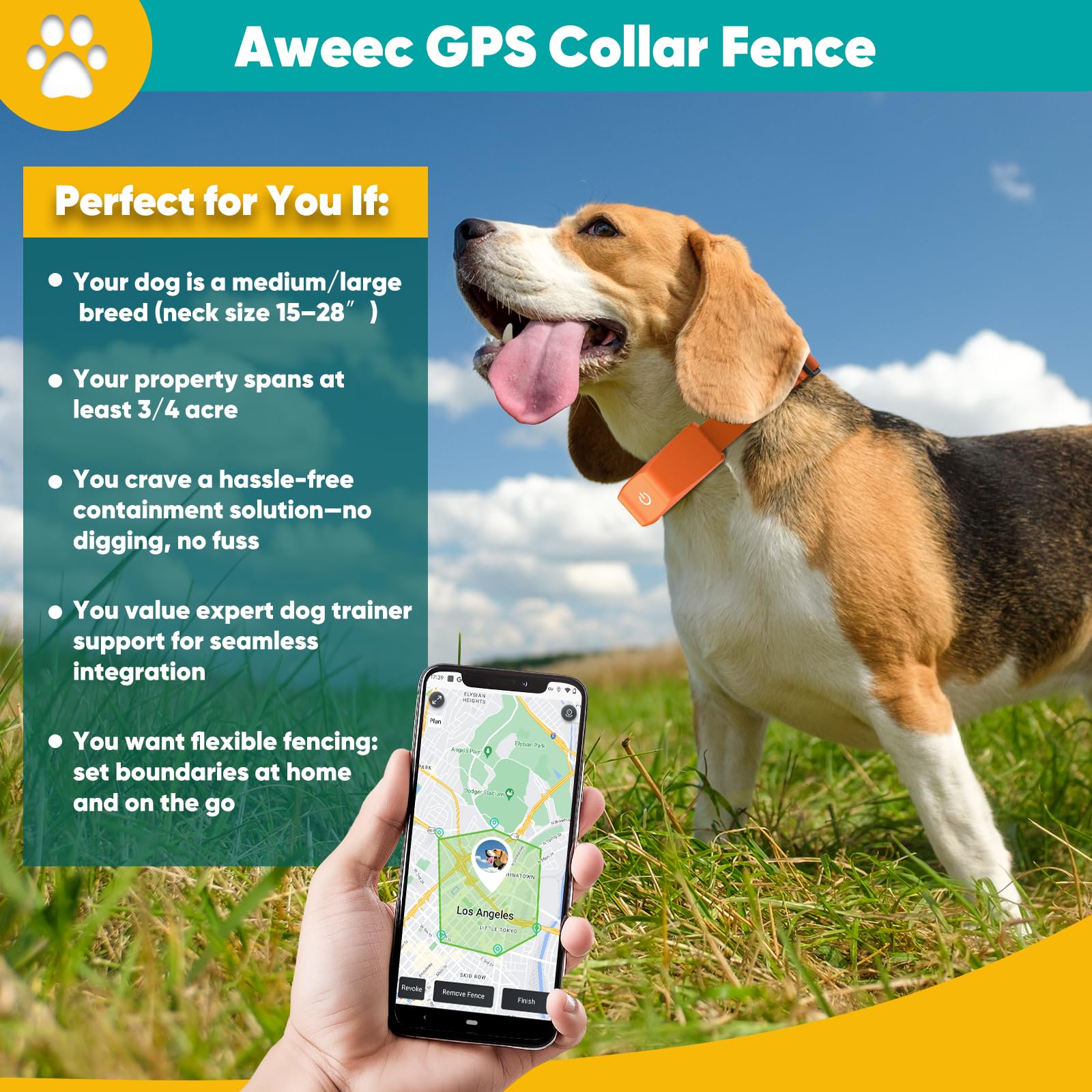 A dog outdoors in rain using the Aweec fence, IP7 waterproof