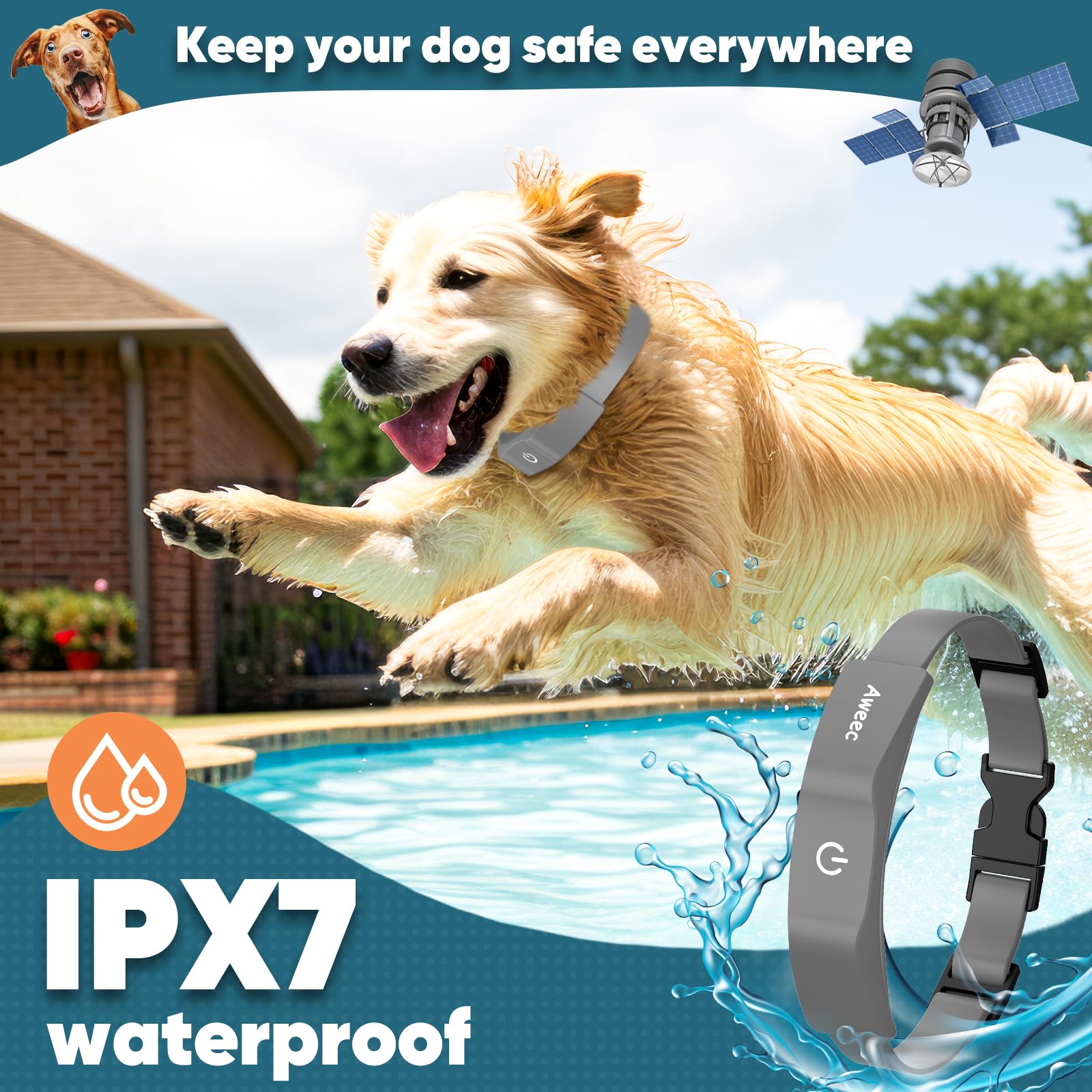 Aweec GPS Fence collar worn by a dog during a training session for guided learning.