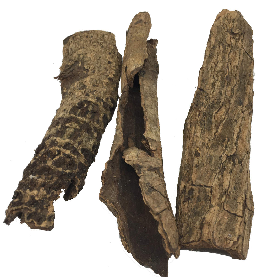 Awesome Aquatic Shrimp Combo Kit cholla wood offers habitat structure and attachable plant surfaces.
