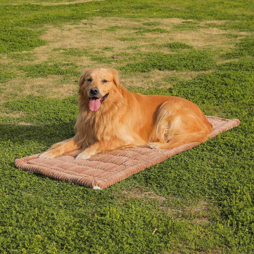 Awjcsv dog seat cover features non-slip bottom for secure rides.