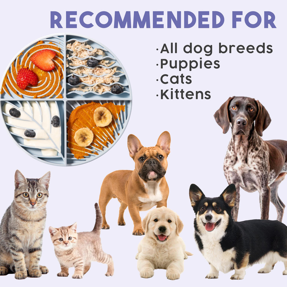 Awoo Paradise extended-mealtime benefit hints at dental health support via pacing.