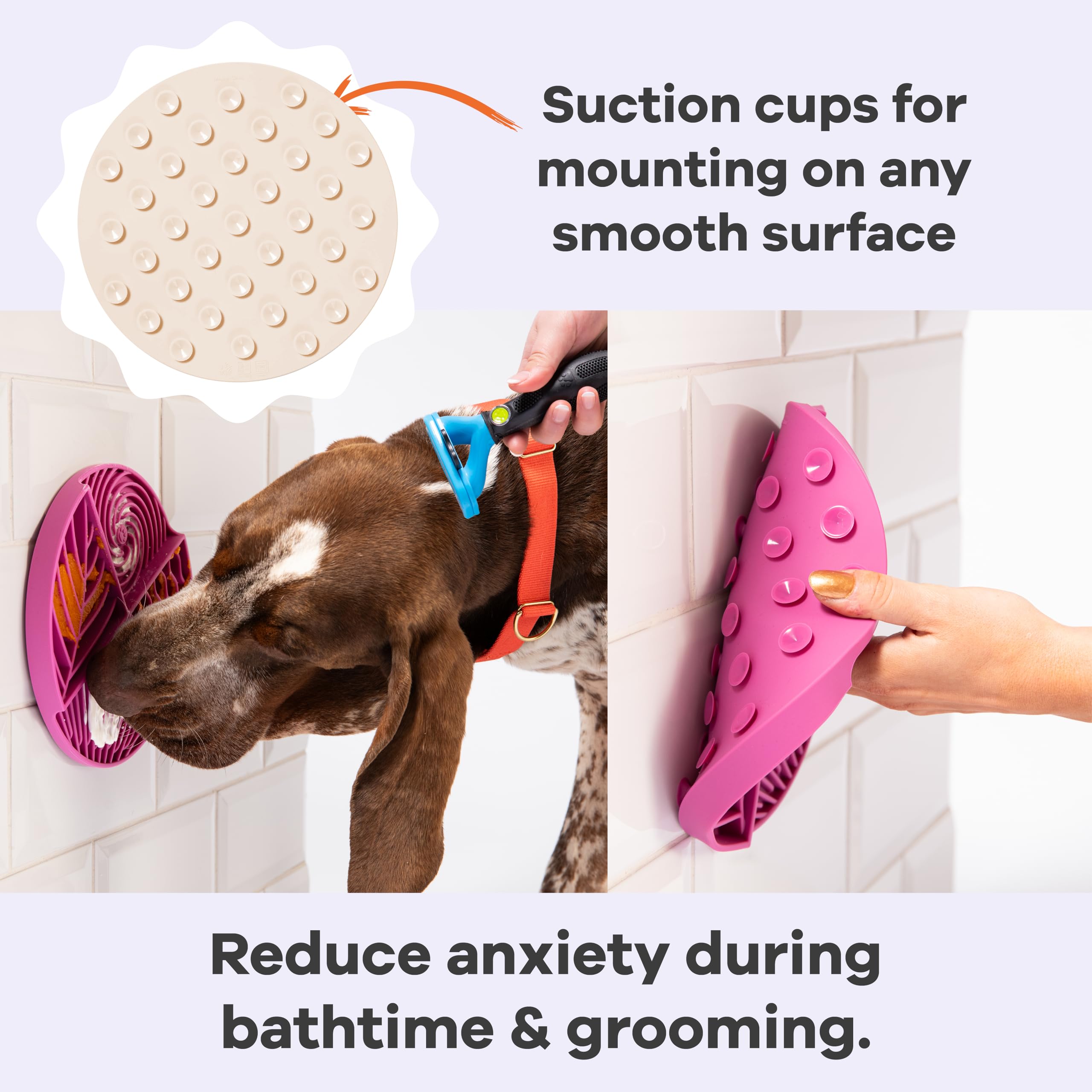 Awoo Paradise suction cups on smooth floor illustrate secure, mess-free use.