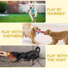 AWOOF crinkle-dog-toy with fox and leopard designs for crinkle sounds.