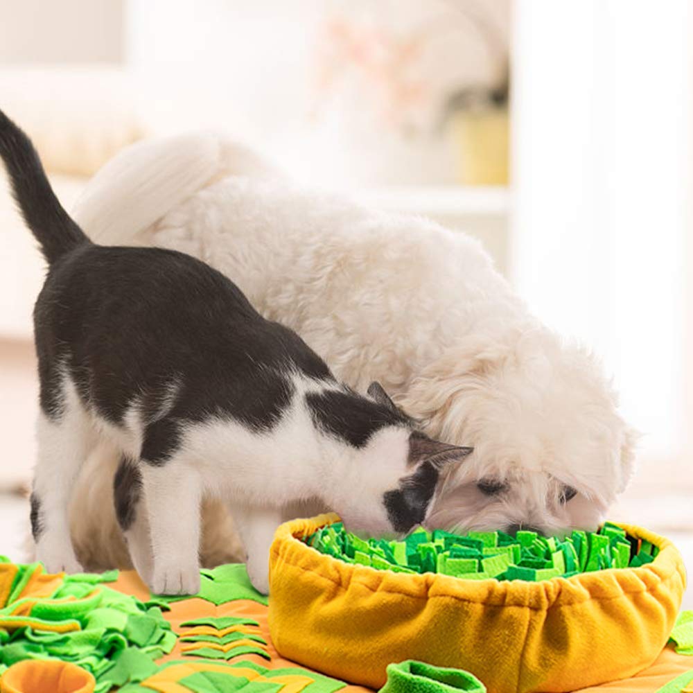 AWOOF Snuffle Mat easy-clean fold storage demonstrates convenient maintenance.