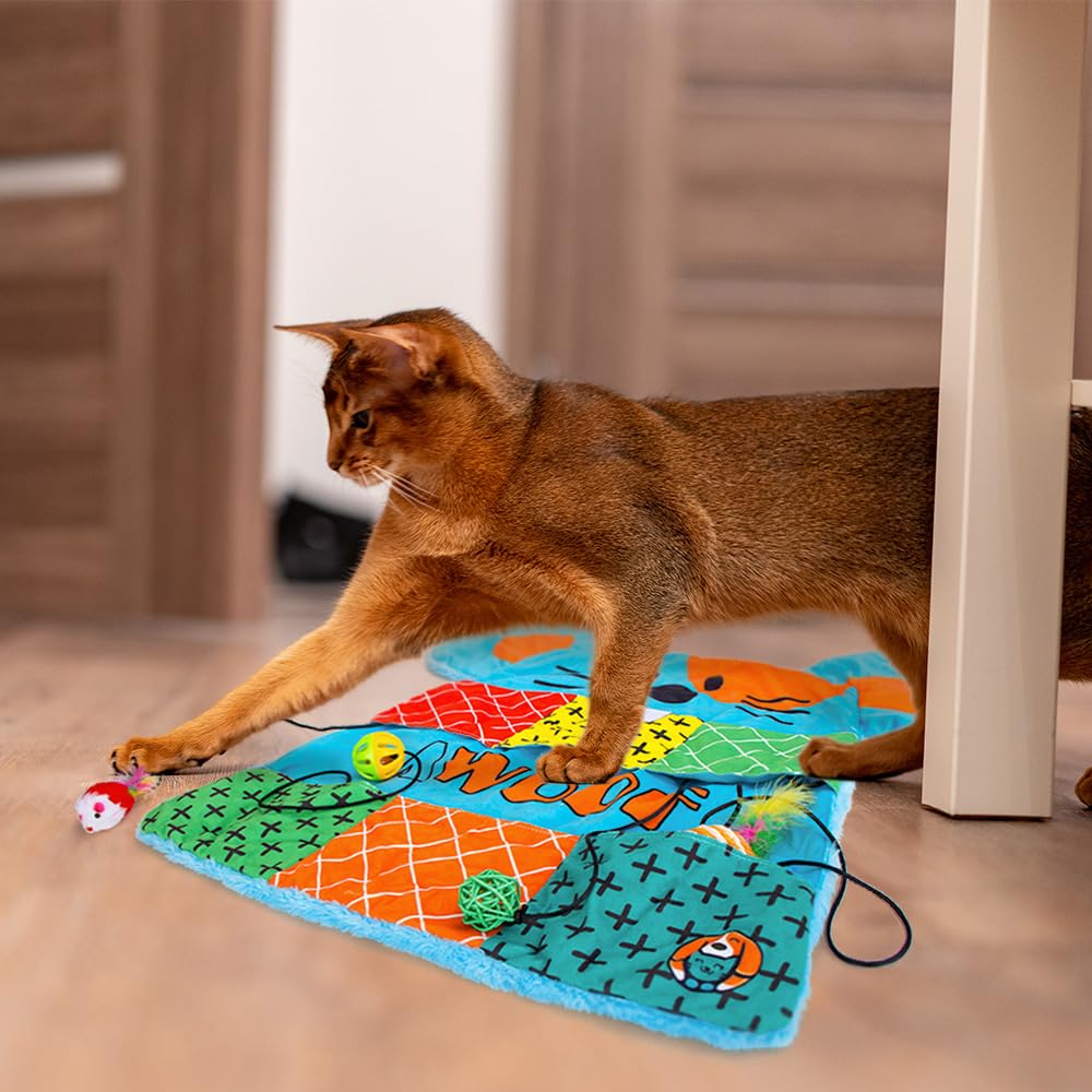 AWOOOF Cat Mat indoor outdoor use for versatile play sessions.