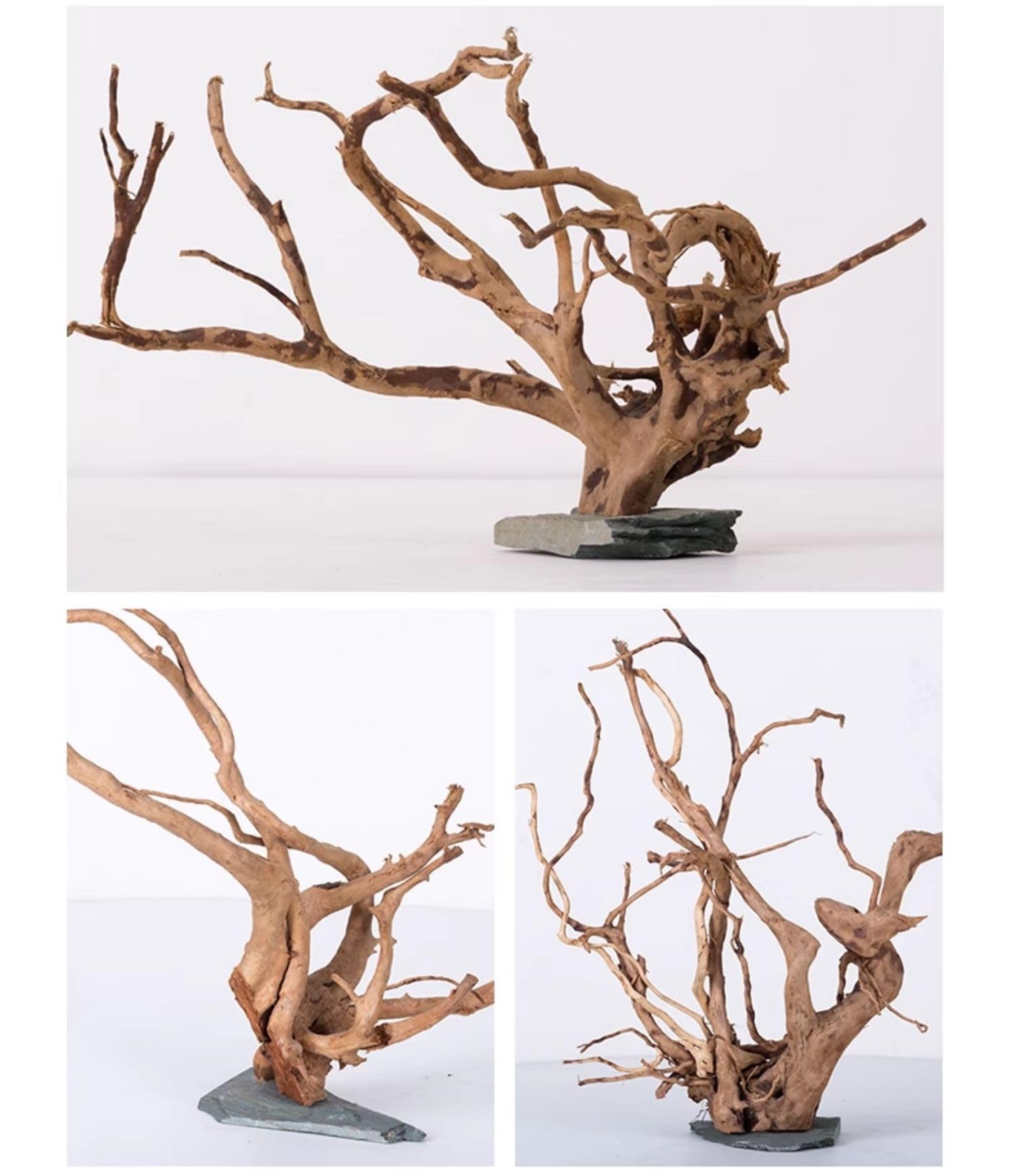 AWXZOM aquarium bonsai spiderwood forms a striking centerpiece for a thriving tank.