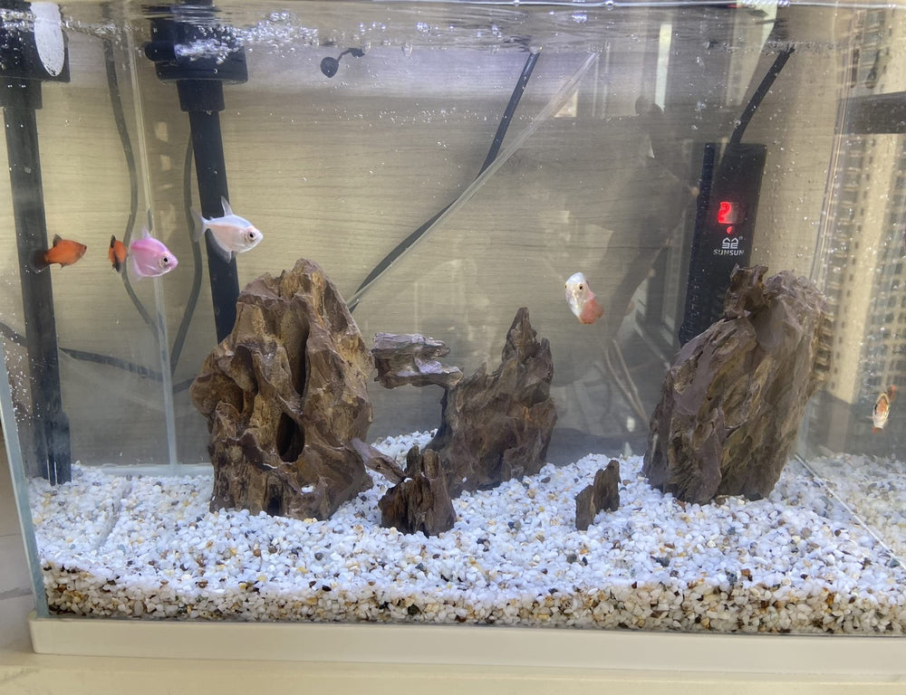 AWXZOM decorative rocks in mixed sizes create depth in aquariums