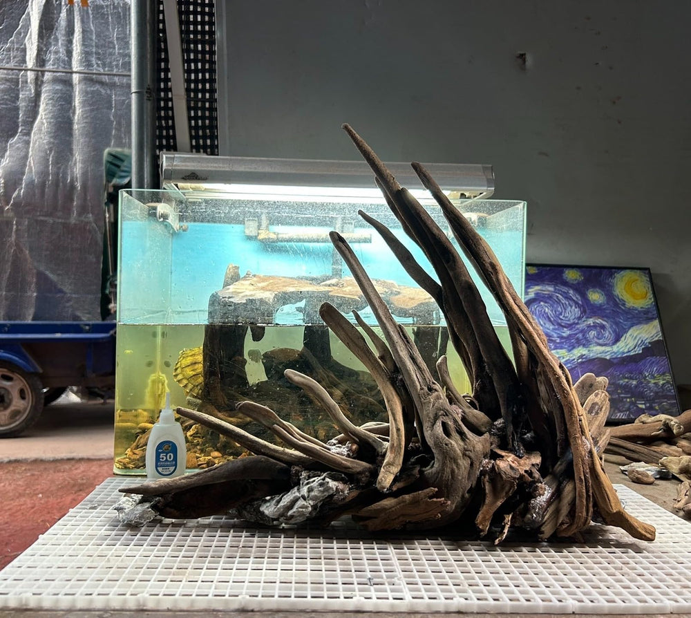 AWXZOM driftwood for reptiles creates natural climbing features in terrariums.