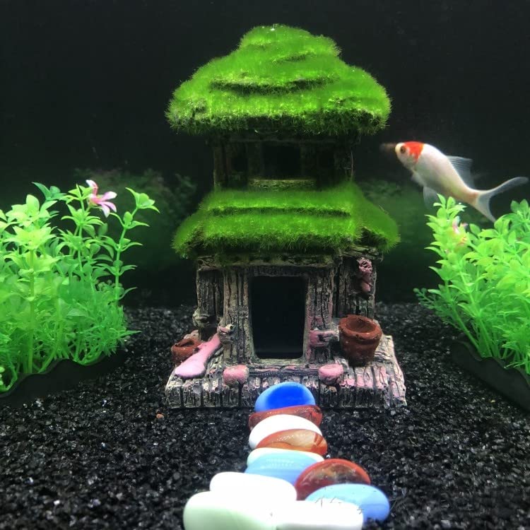 AWXZOM Fish House betta habitat inside demonstrates safe retreat and exploration space for fish.