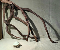 AWXZOM long driftwood branch collection offers varied shapes for dramatic aquarium layouts.