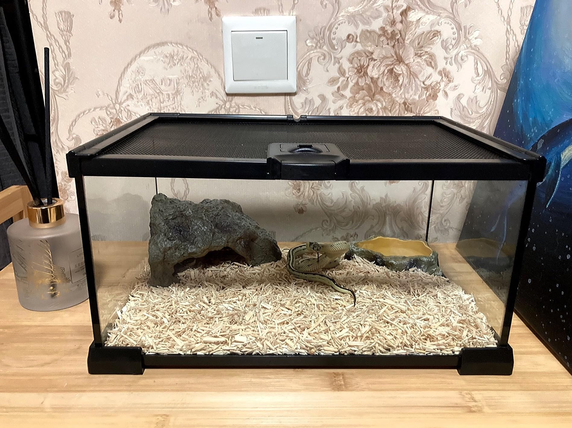 AWXZOM mini reptile glass terrarium close-up view shows build quality and ease of setup.