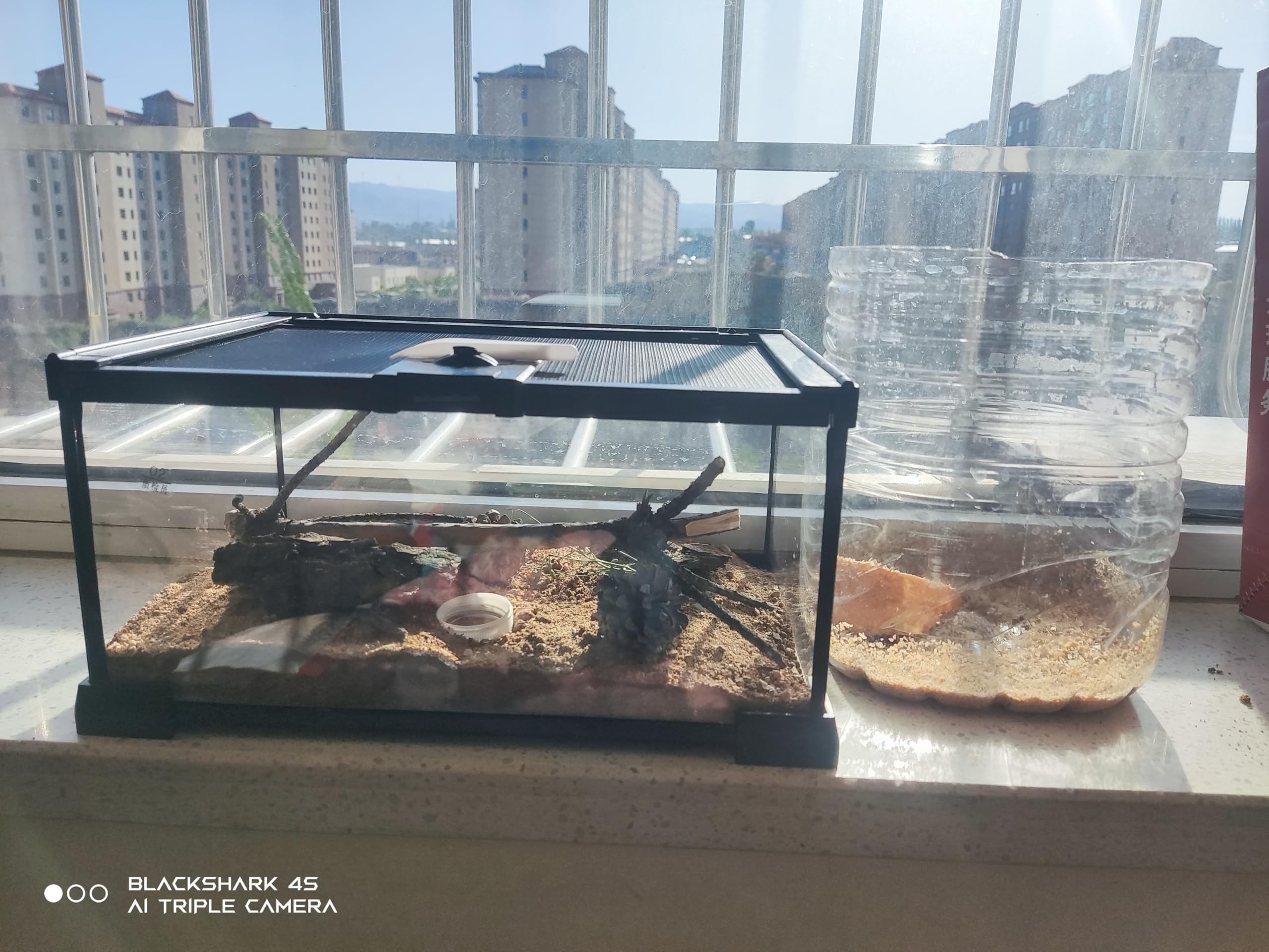 AWXZOM mini reptile glass terrarium compact design fits small habitats and desks.