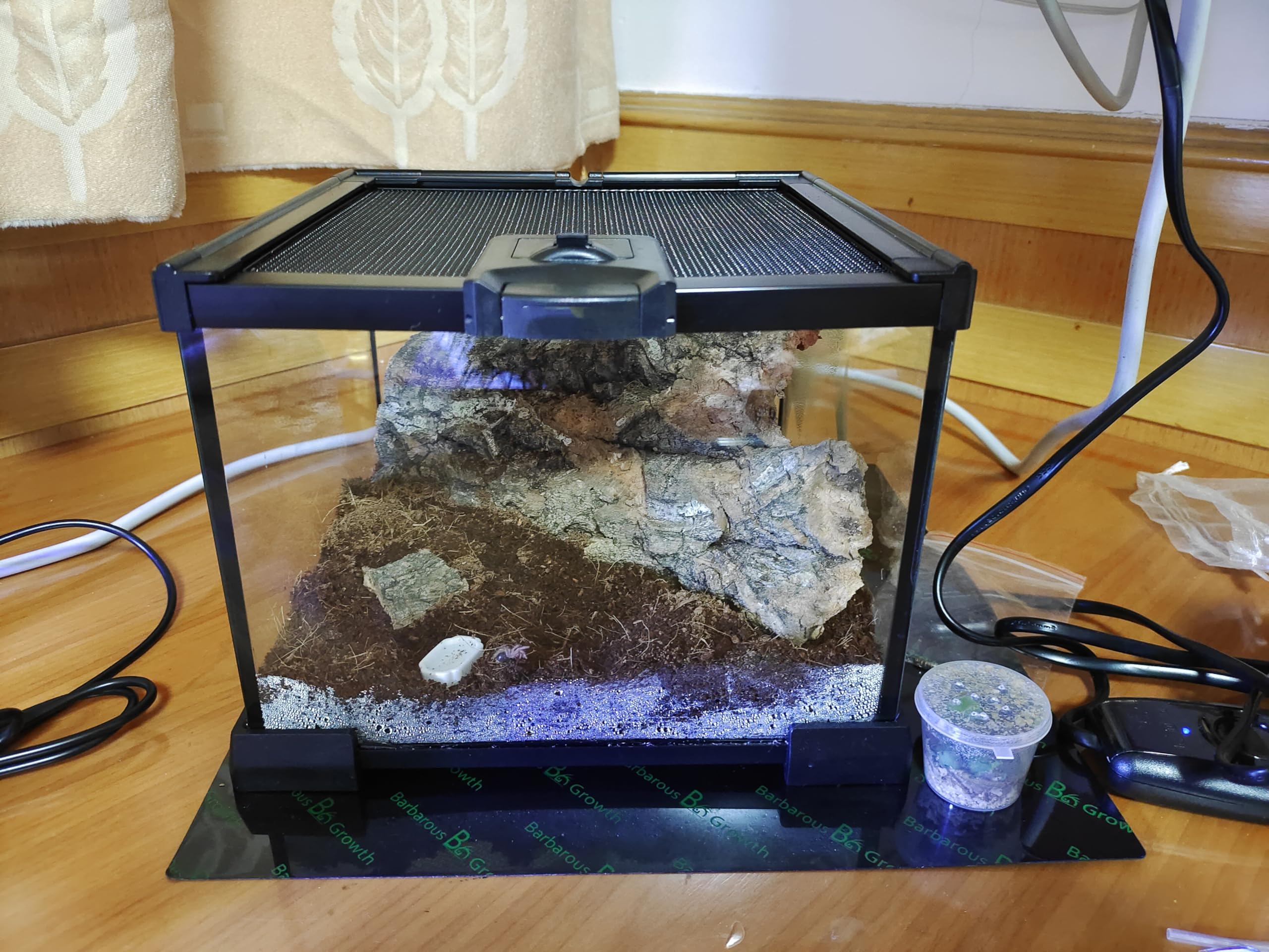 AWXZOM Mini Reptile Glass Terrarium size label helps verify dimensions