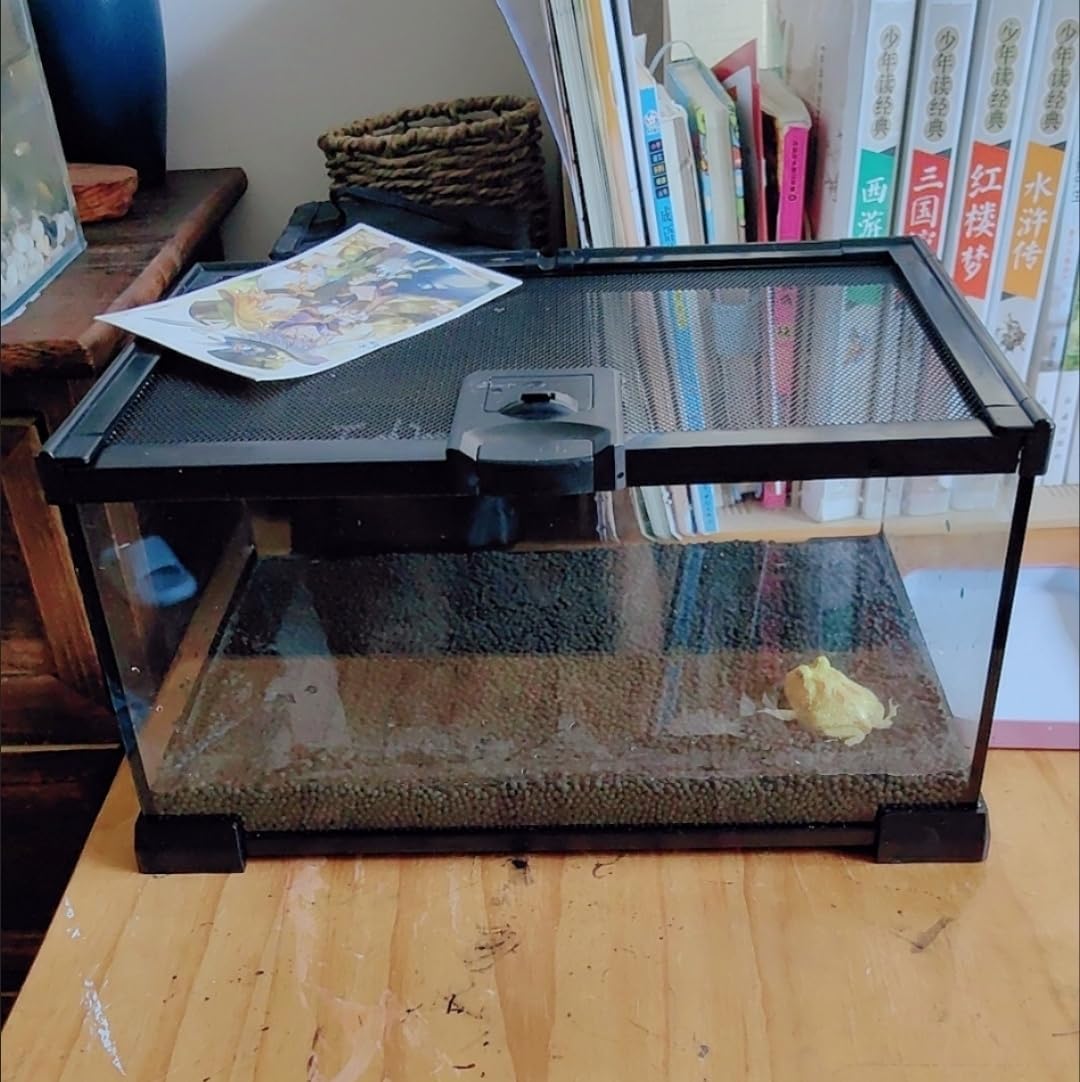 AWXZOM mini reptile glass terrarium wide range of uses suits tropical and desert pets.