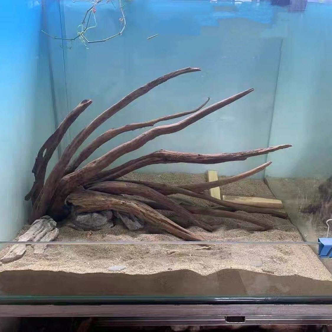 AWXZOM natural aquascaping setup elevates tank aesthetics while supporting habitat enrichment.