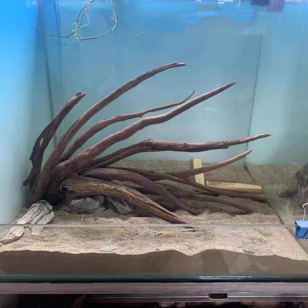 AWXZOM natural aquascaping setup elevates tank aesthetics while supporting habitat enrichment.