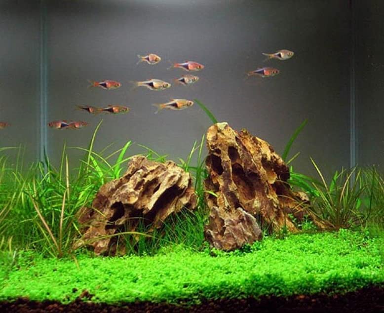 AWXZOM natural stones set brings nature-inspired texture to aquariums