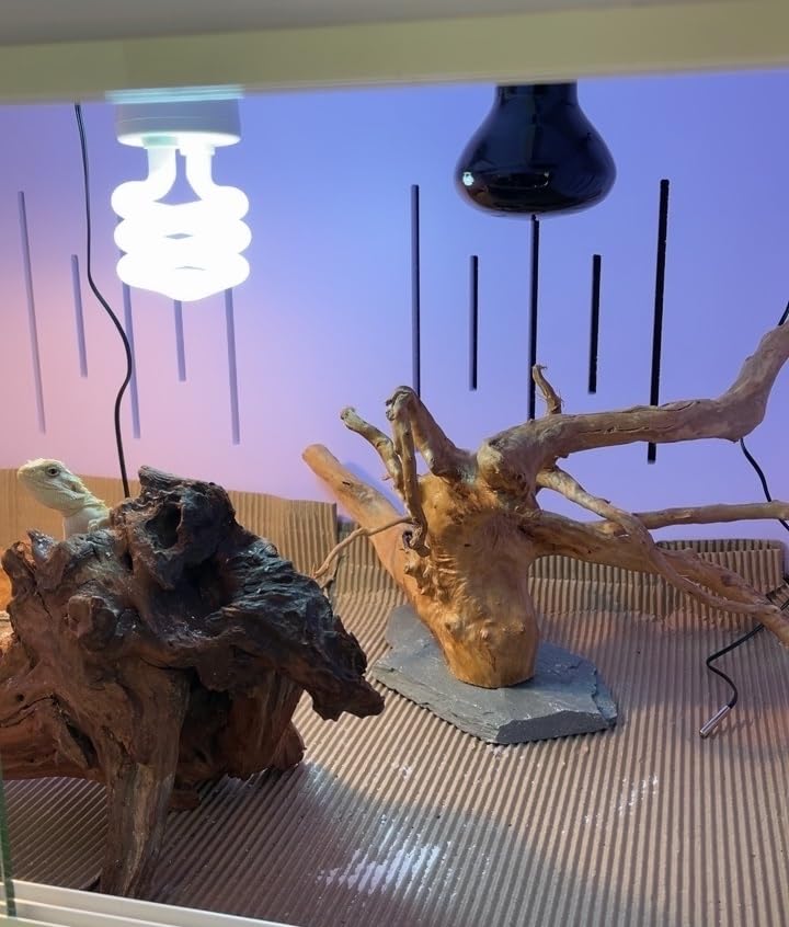 AWXZOM reptile enclosure-ready driftwood adds climbing surfaces and enrichment.