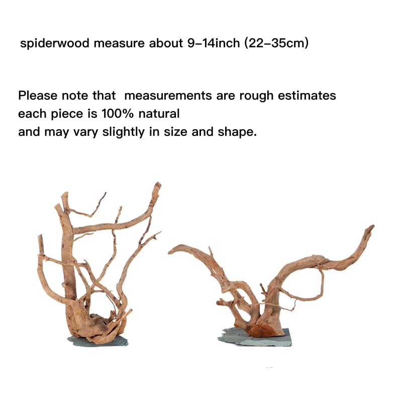AWXZOM spiderwood with slate base offers stable foundation for easy aquarium setup.