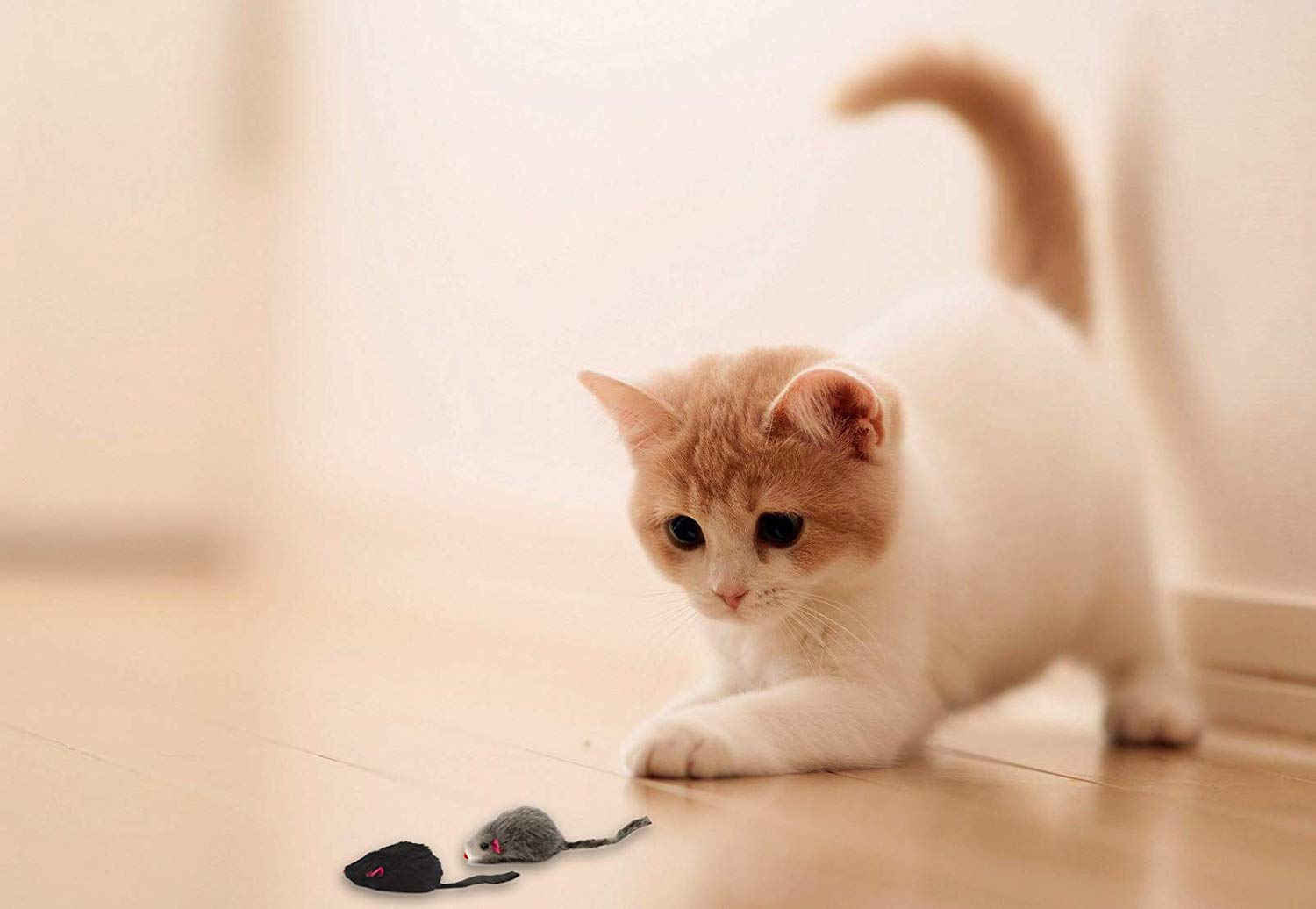 AXEL PETS assorted colors mouse set black white grey ready for indoor catch play.