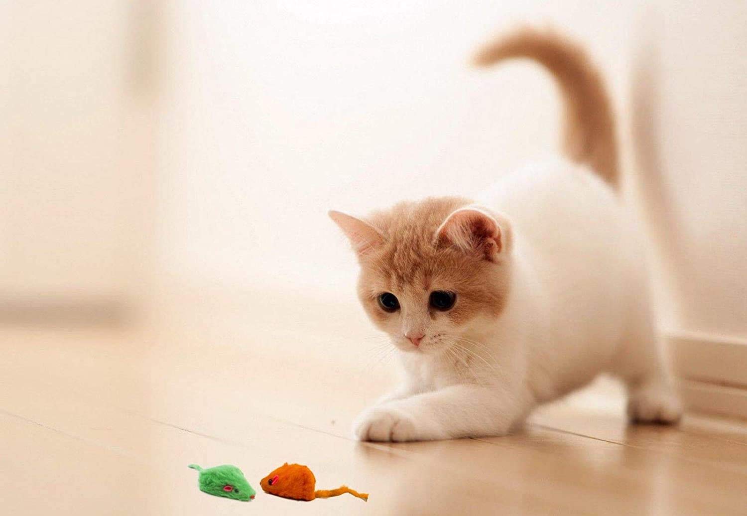 AXEL PETS eco-friendly-reclaimed-rabbit-fur-toy-pack highlights sustainable cat toys.