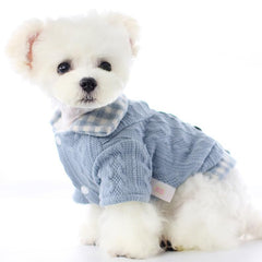 AZA Dog Princess Sweater blue back-view highlights fit and easy layering for chilly days.