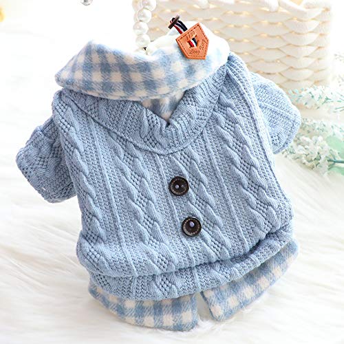 AZA Dog Princess Sweater worn by a small dog for stylish everyday wear and comfort.