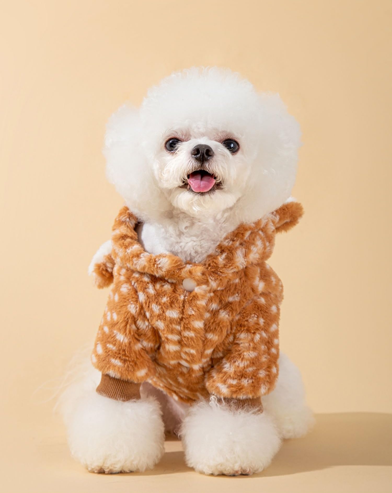 AZA Durable Materials Dog Costume, reliable winter apparel that cleans easily in cold water
