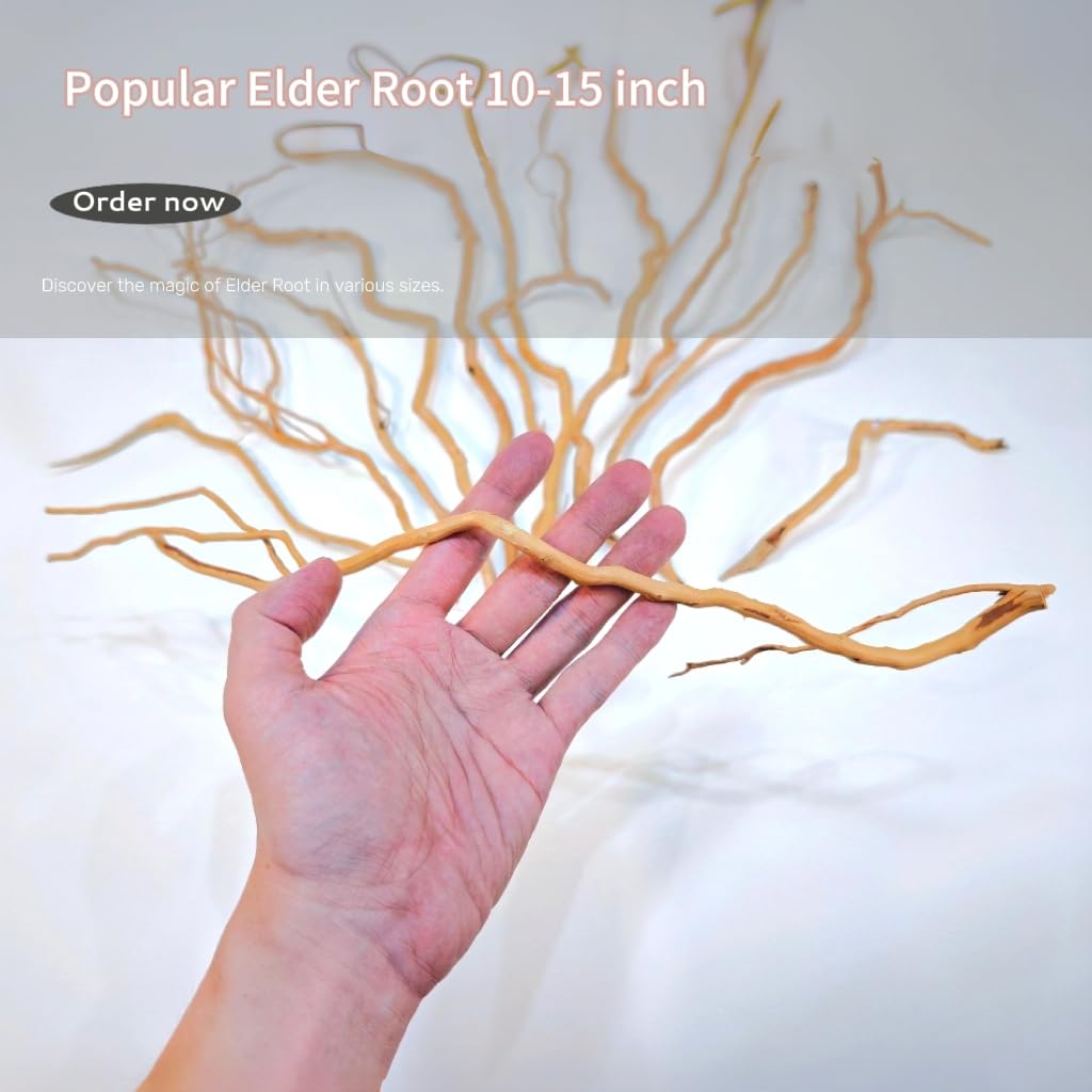 Azil driftwood root size 14-16 inches anchors large aquarium layouts.