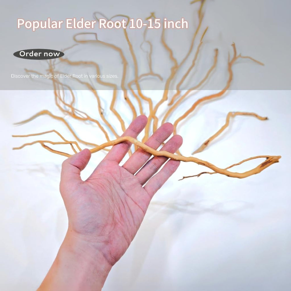 Azil driftwood root size 14-16 inches anchors large aquarium layouts.