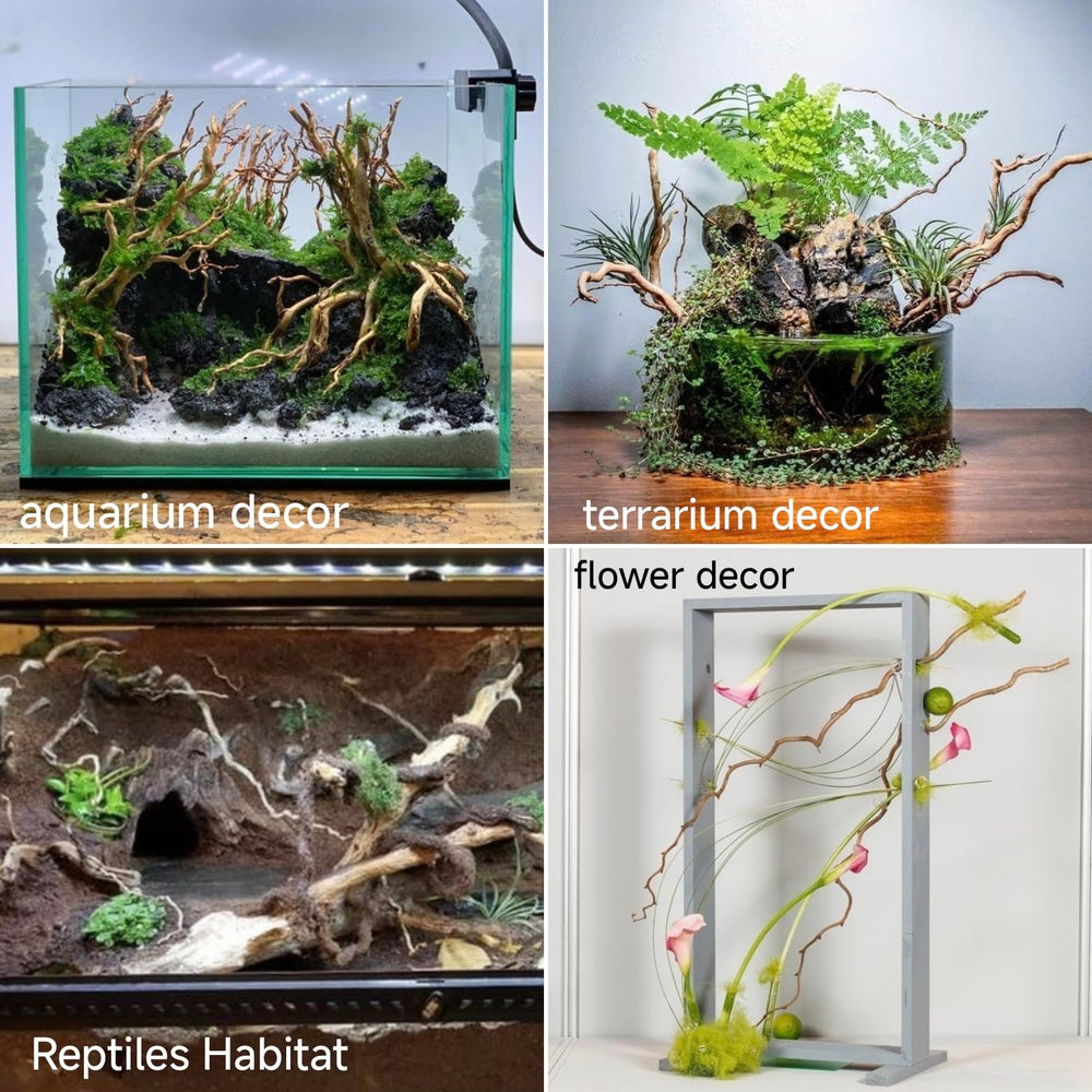 Azil driftwood root freshwater and saltwater readiness supports versatile tanks.