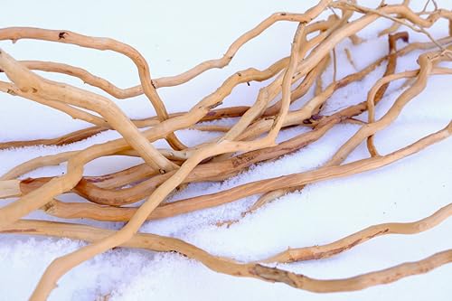 Azil driftwood root for planted tanks adds shelter and visual warmth.