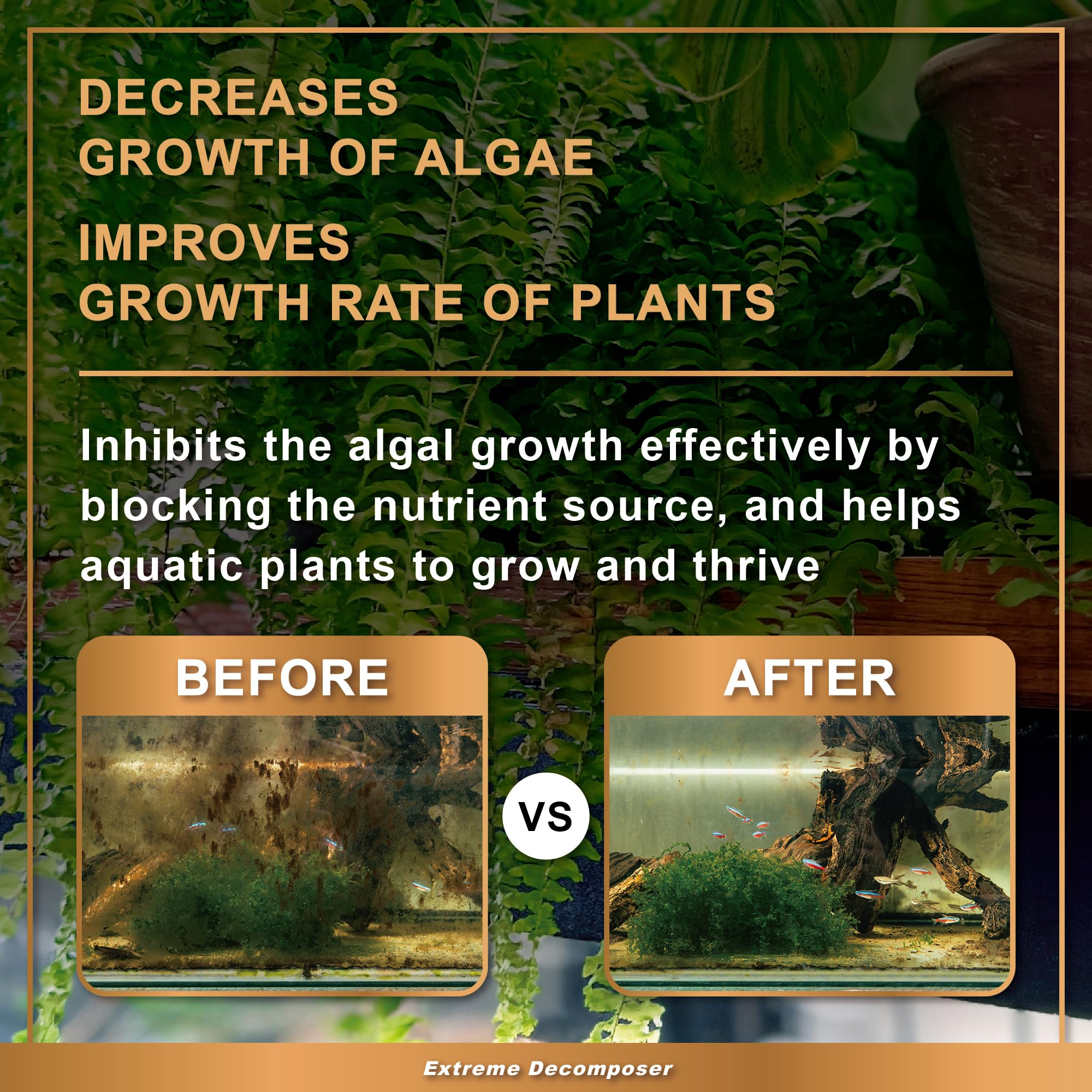 Azoo Bio XD freshwater-saltwater tanks show versatile use.