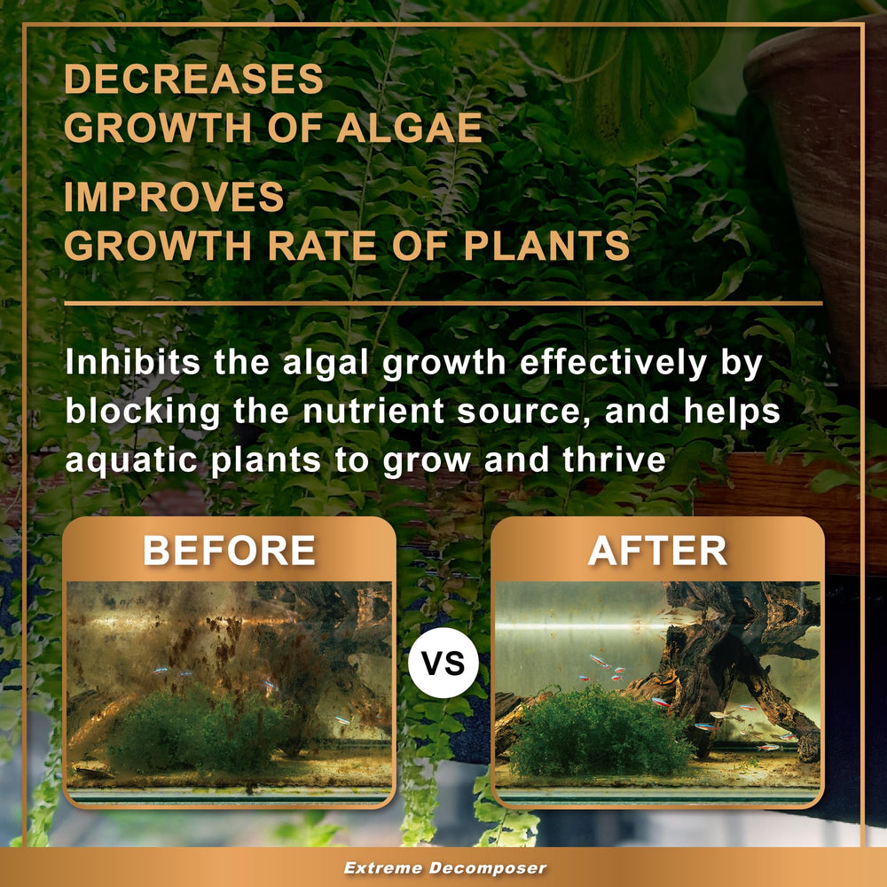 Azoo Bio XD freshwater-saltwater tanks show versatile use.