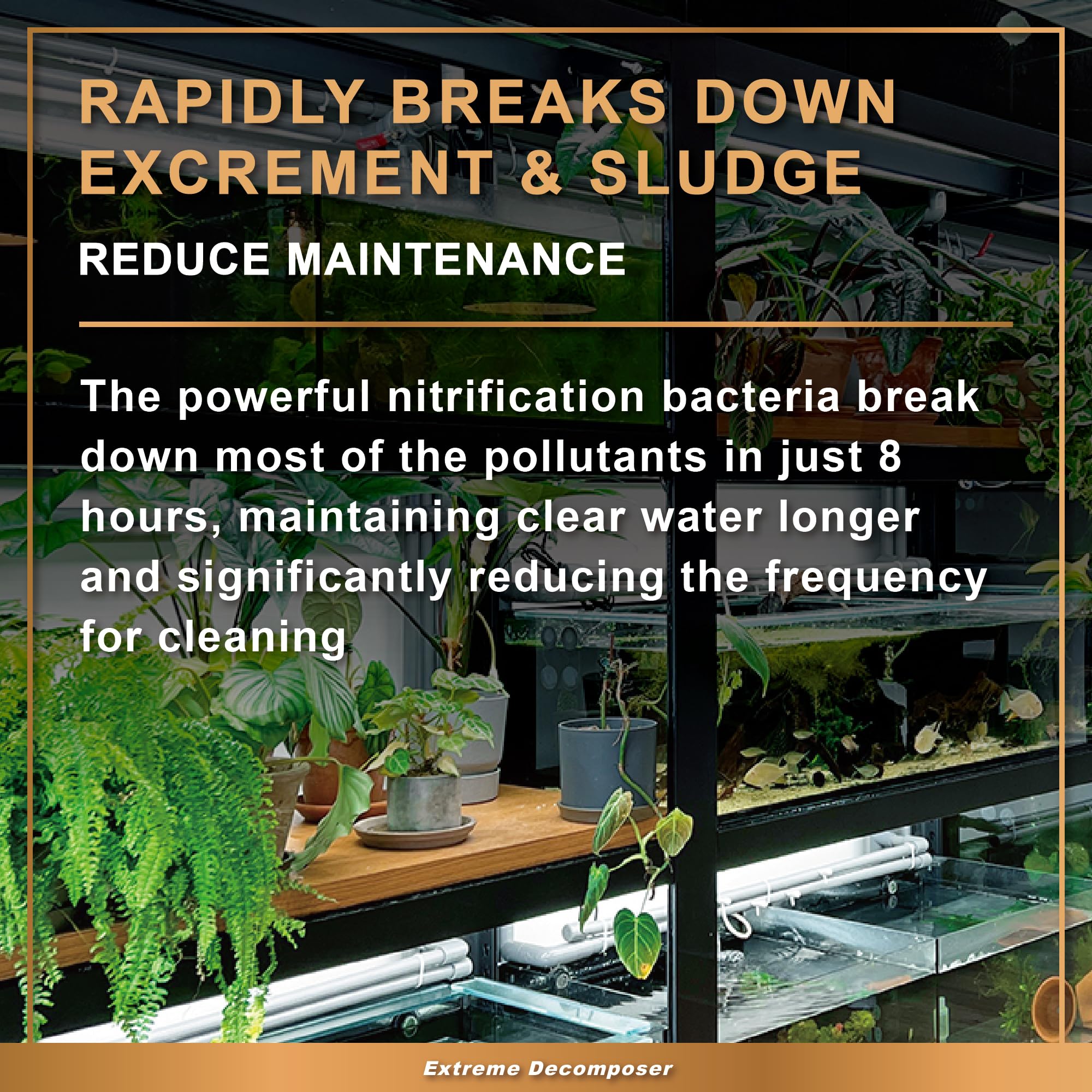 Azoo Bio XD tank glass clear scene emphasizes extended cleaning cycle.