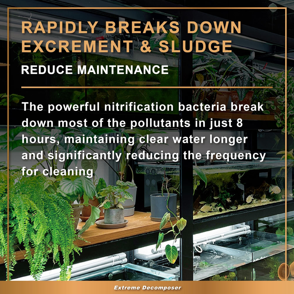 Azoo Bio XD tank glass clear scene emphasizes extended cleaning cycle.