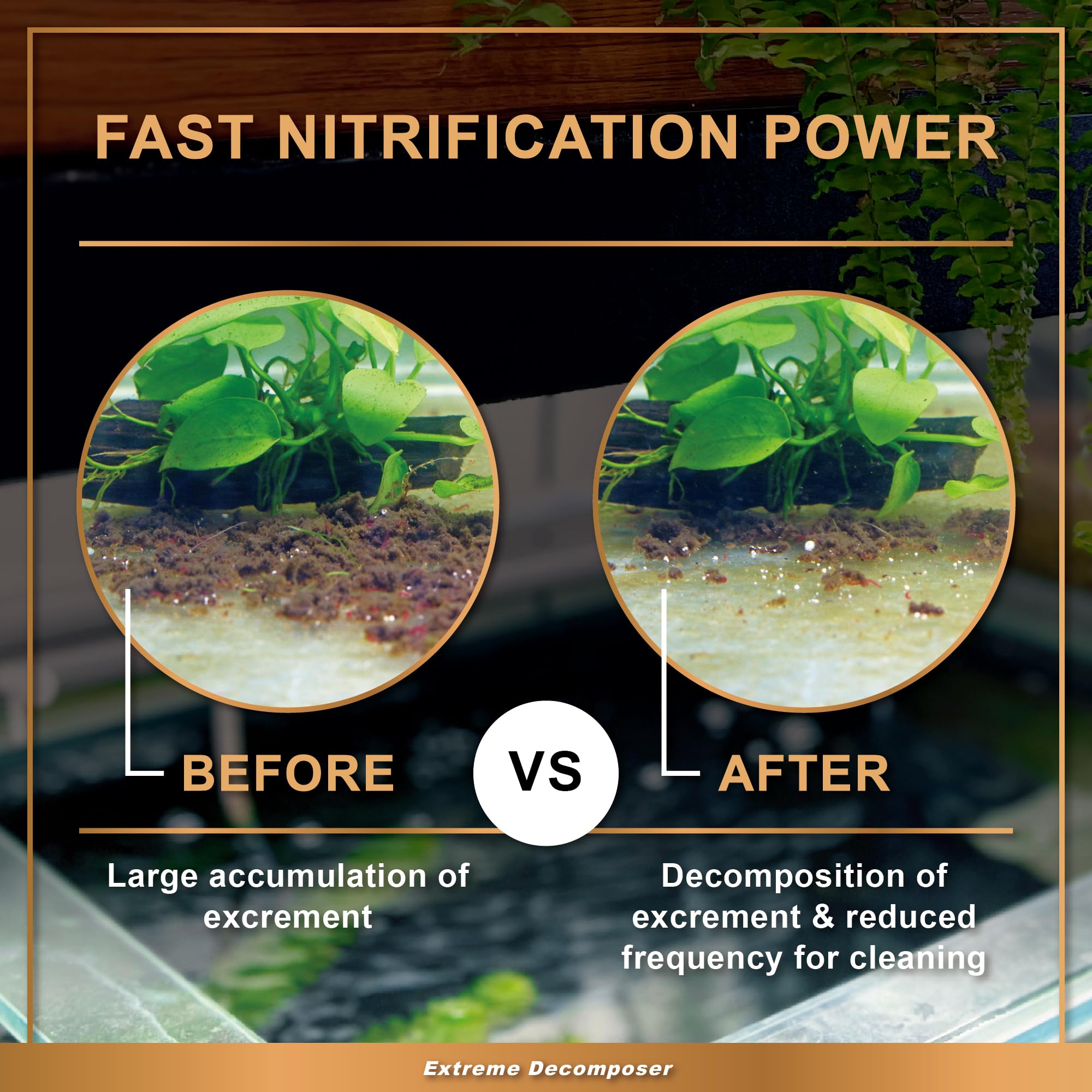Azoo Bio XD water clarity image shows visibly cleaner water after dosing.