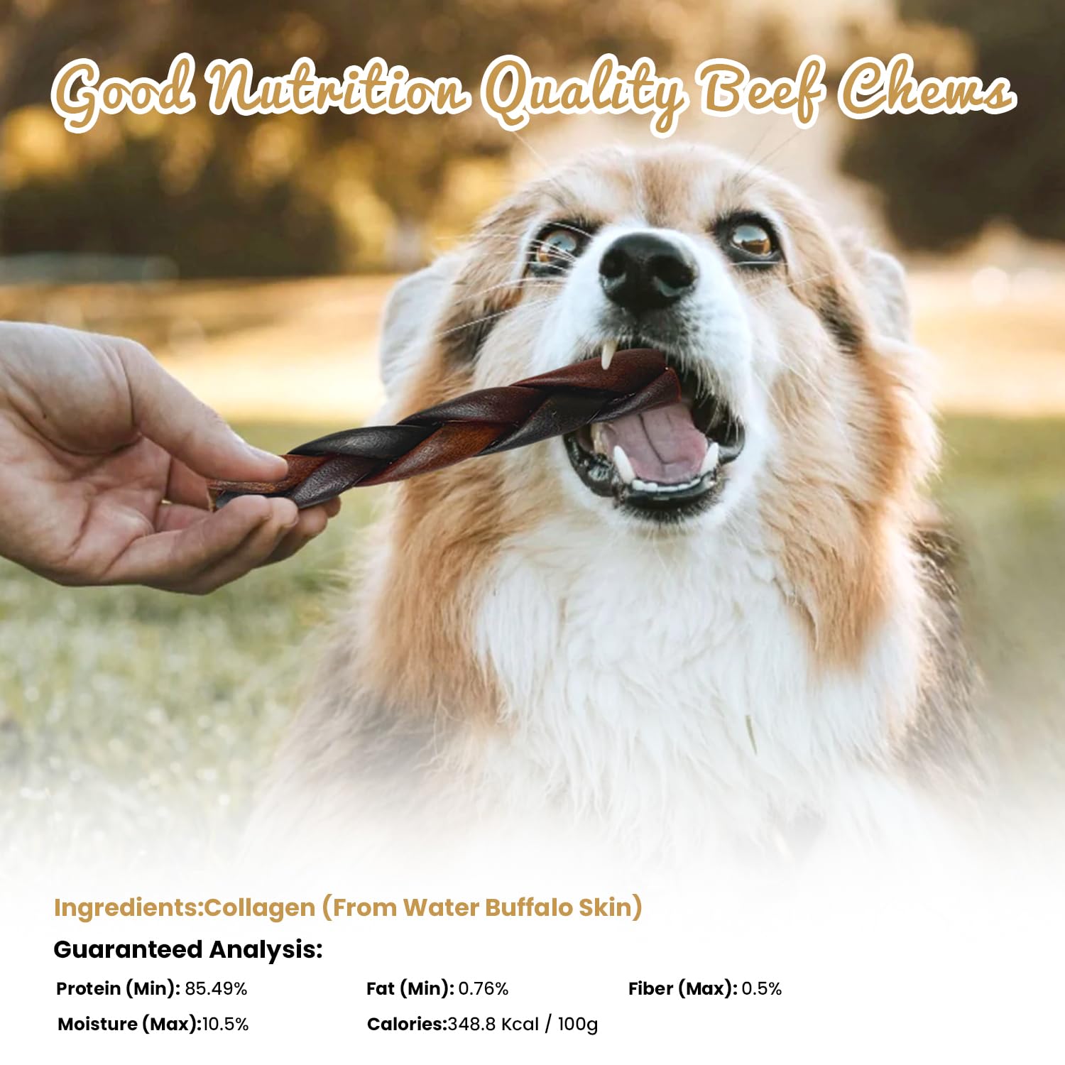 AZRAPAWS dental-health-chew action with braided texture