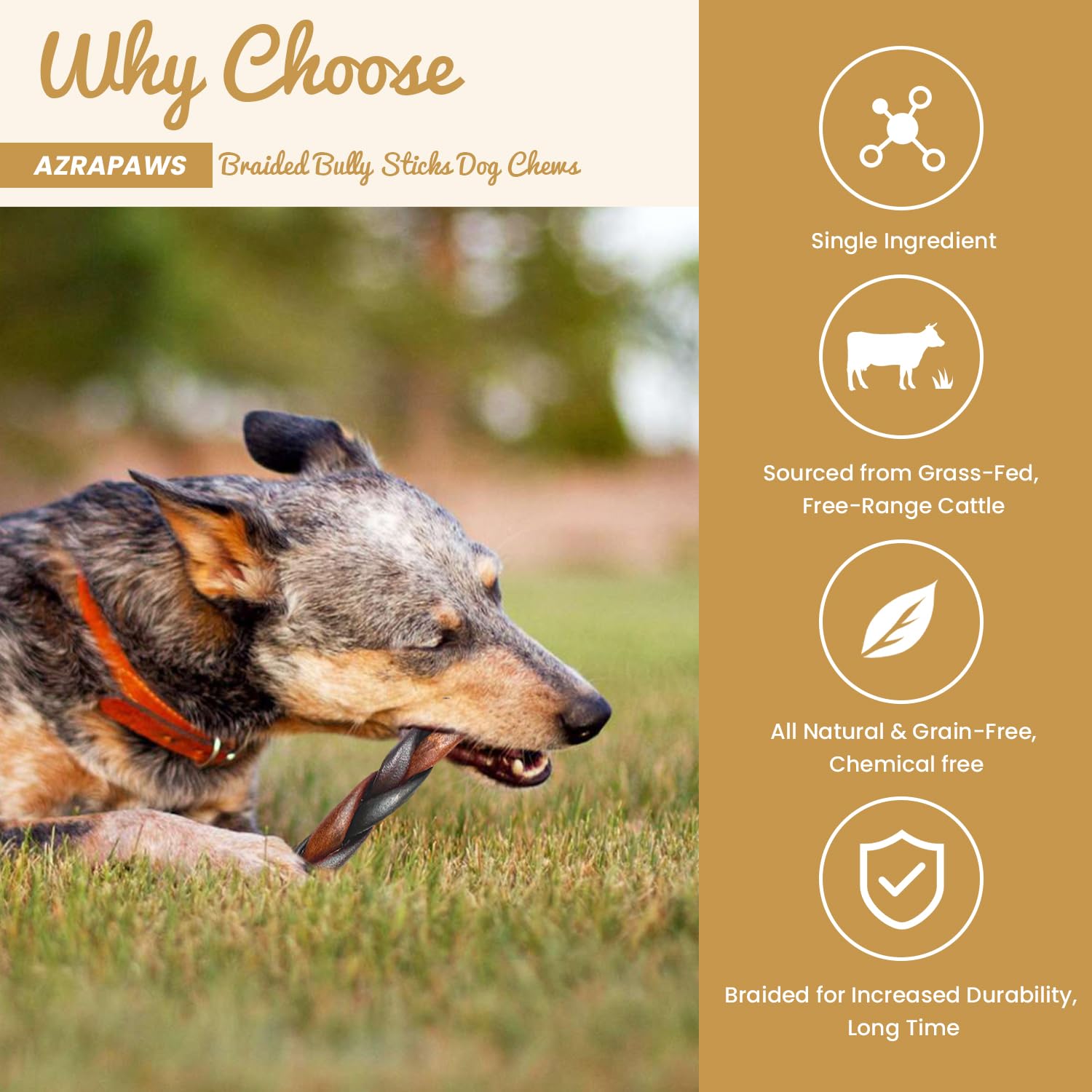 AZRAPAWS grass-fed water buffalo collagen sticks product image