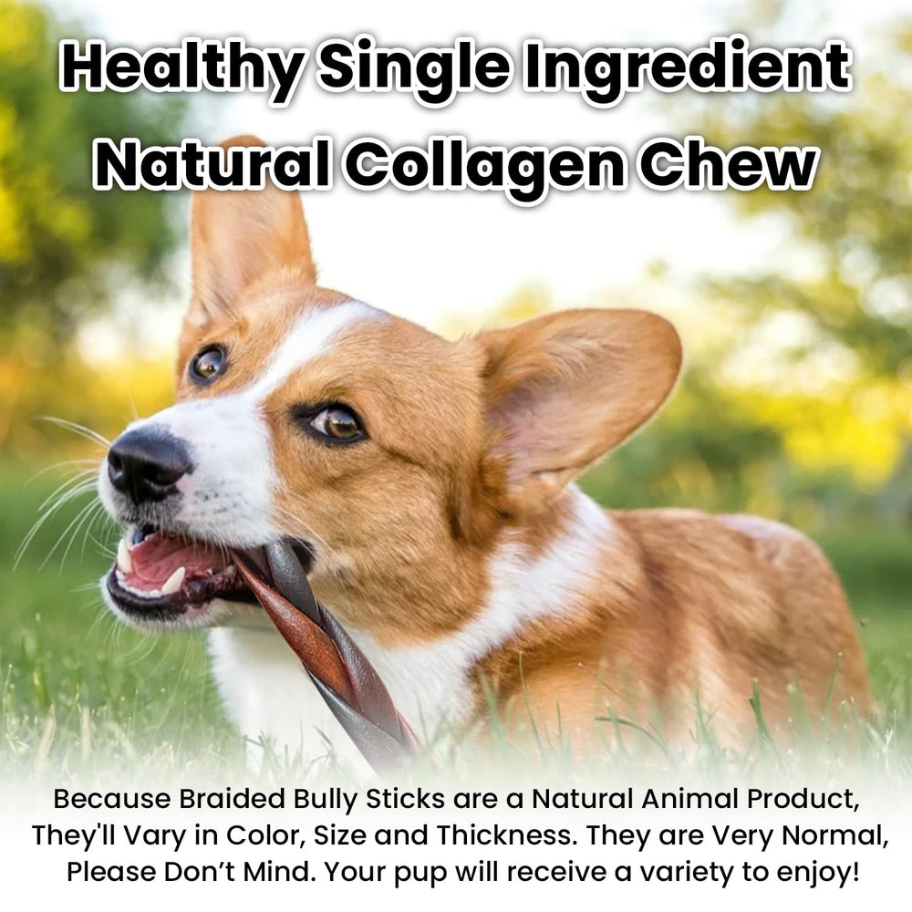 AZRAPAWS low-odor natural bully sticks with varied color