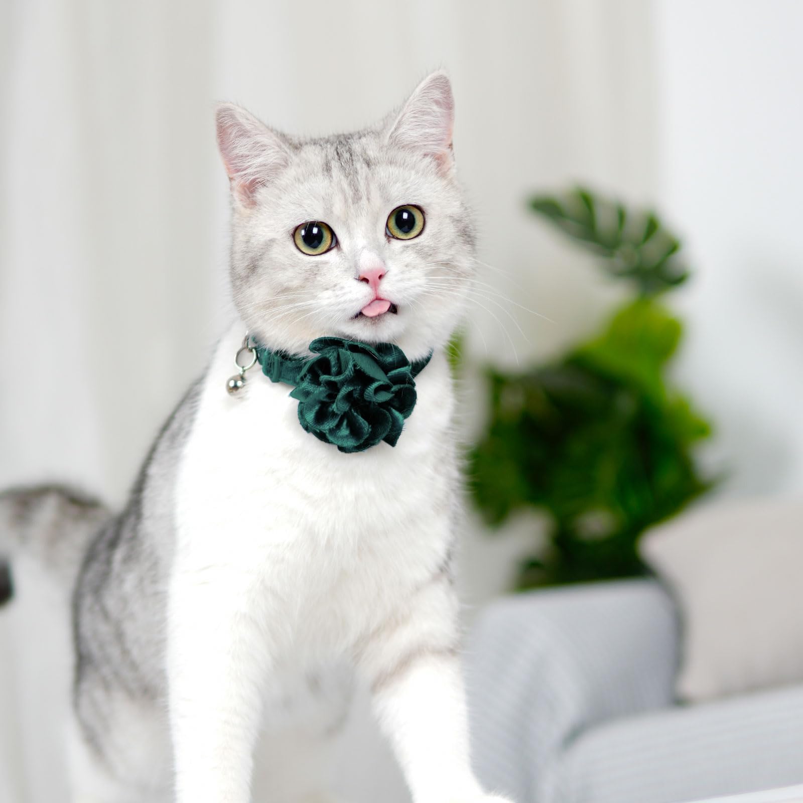 Adjustable 8-12 inch strap fits different cat necks comfortably.