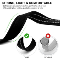 Azuza Chrome D-ring on collar ensures durable leash attachment.
