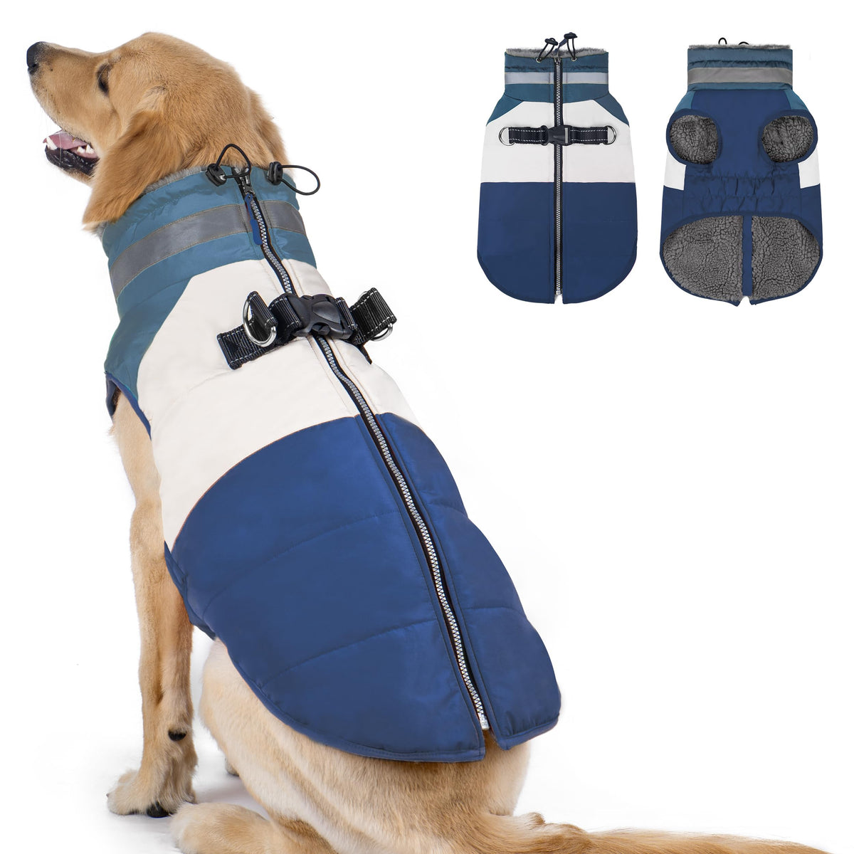 Azuza dog coat back zipper: easy step-in closure for quick winter walks.